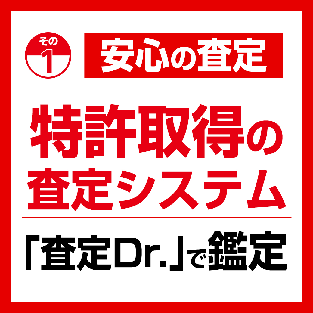 カーズ-安心の-その1-2502